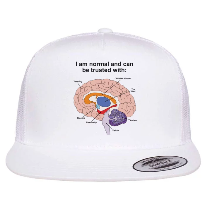 I Am Normal And Can Be Trusted Flat Bill Trucker Hat