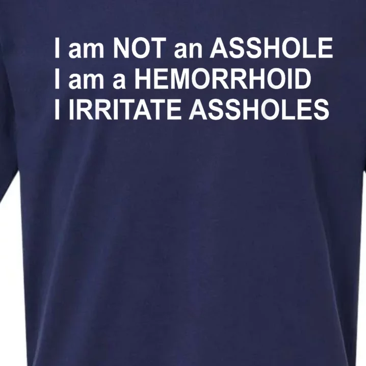 I Am Not An Asshole I Am A Hemorrhoid I Irritate Assholes Sueded Cloud Jersey T-Shirt