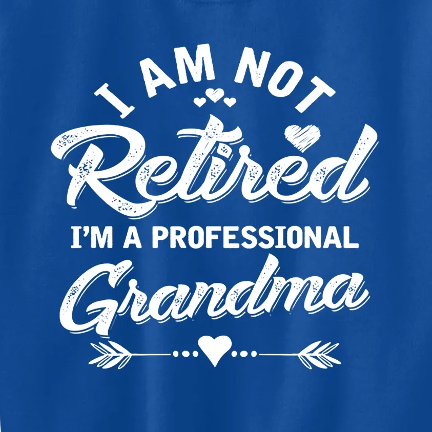 I Am Not Retired I'm A Professional Grandma Gift Kids Sweatshirt