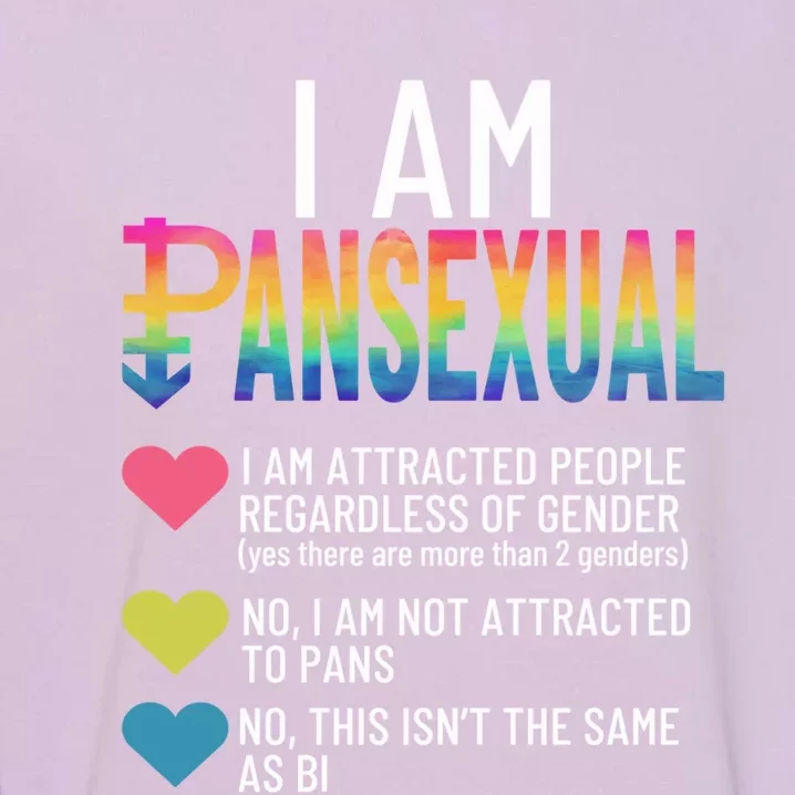 I Am Pansexual Cool Gift Lgbtqia Pride Rainbow Hearts Cool Gift Definition Funny Garment-Dyed Sweatshirt