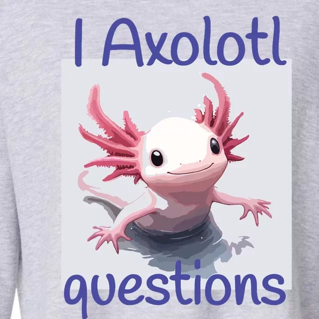 I Axolotl Questions Cropped Pullover Crew