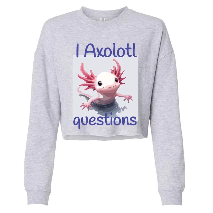 I Axolotl Questions Cropped Pullover Crew