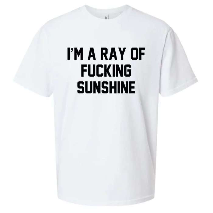 I'm A Ray Of Fucking Sunshine Sueded Cloud Jersey T-Shirt