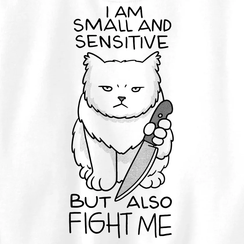 I Am Small And Sensitive But Also Fight Me Funny Cat Kids Sweatshirt