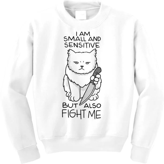 I Am Small And Sensitive But Also Fight Me Funny Cat Kids Sweatshirt