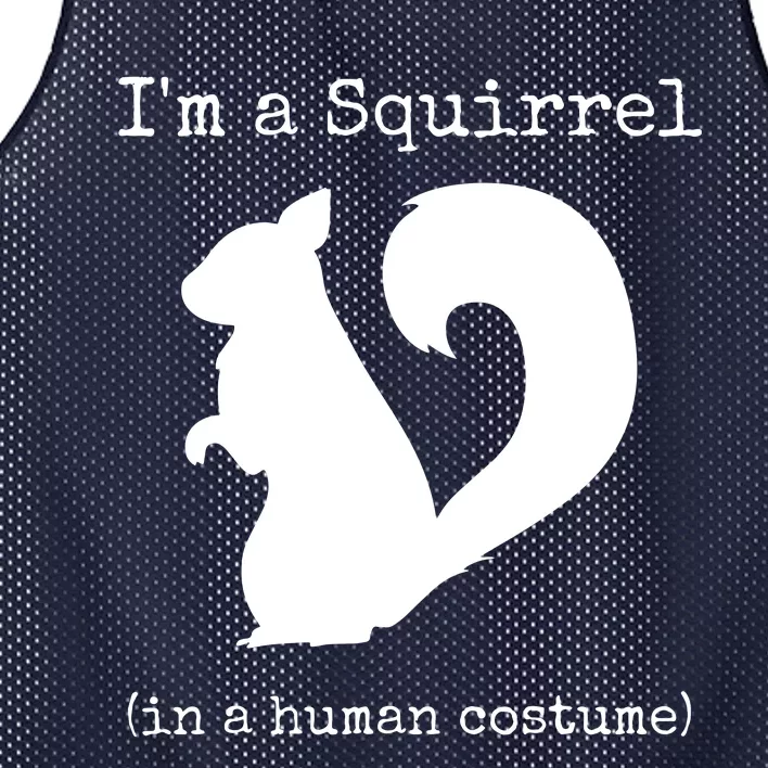 I'm A Squirrel In A Human Costume Funny Novelty Halloween Mesh Reversible Basketball Jersey Tank