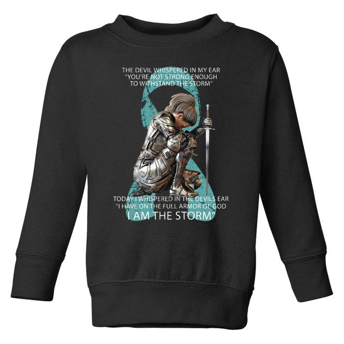 I Am The Storm Mom Sister Women Ovarian Cancer Awareness Toddler Sweatshirt