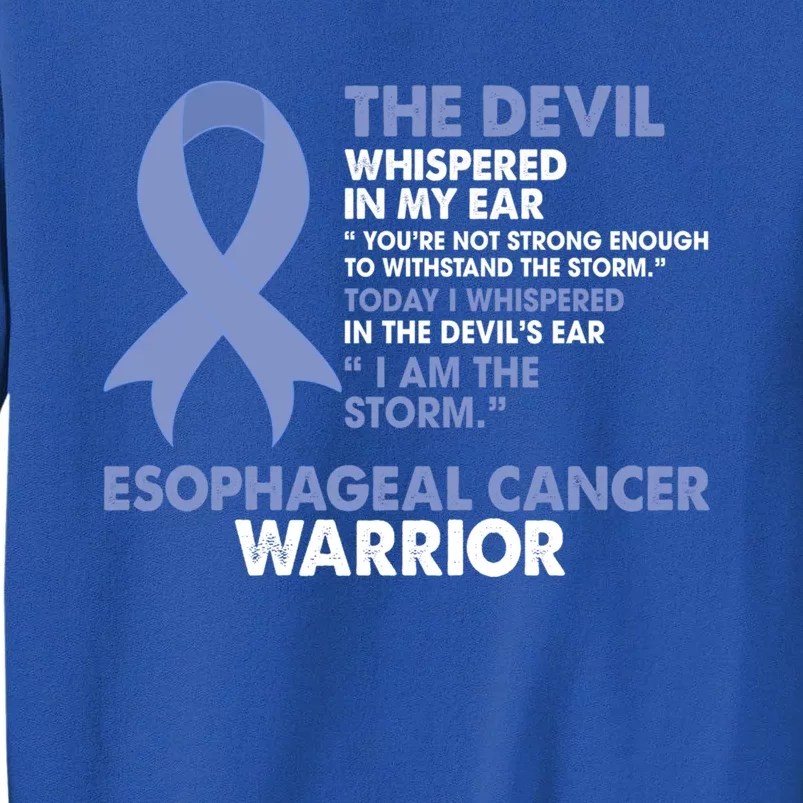 I Am The Storm Esophageal Cancer Awareness Warriors Fighters Gift Tall Sweatshirt