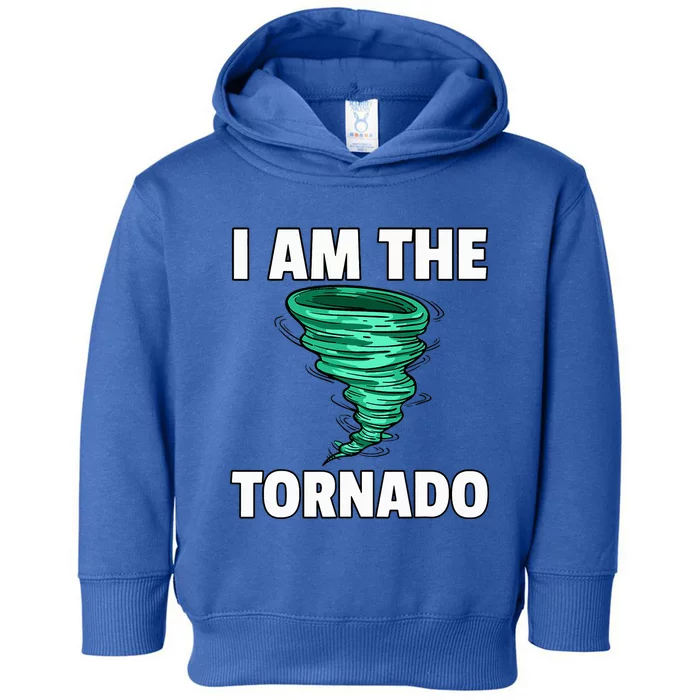 I Am The Storm Twister Tornado Hurricane Meteorologist Toddler Hoodie