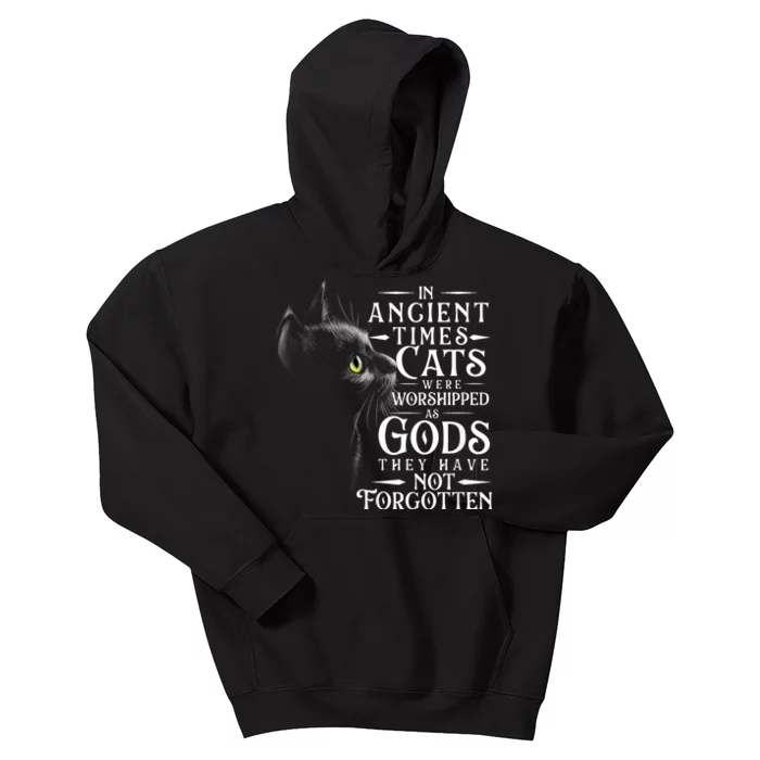 In Ancient Times Cats Were Worshipped As Gods Pet Lover Kids Hoodie