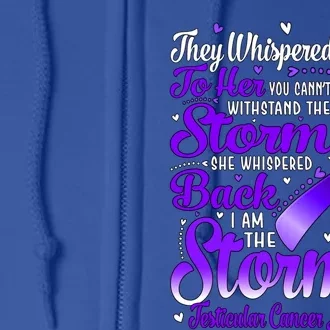 I Am The Storm Testicular Cancer Awareness Gift Full Zip Hoodie