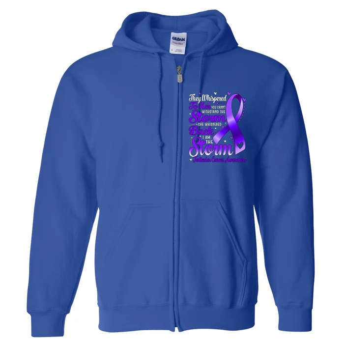 I Am The Storm Testicular Cancer Awareness Gift Full Zip Hoodie