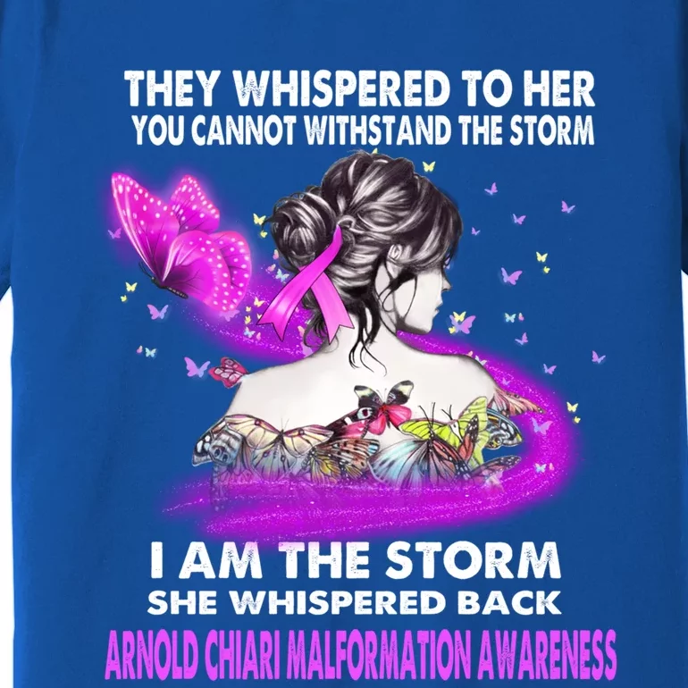 I Am The Storm Arnold Chiari Malformation Awareness Gift Premium T-Shirt