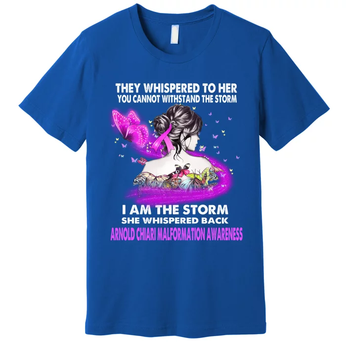 I Am The Storm Arnold Chiari Malformation Awareness Gift Premium T-Shirt