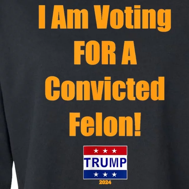 I Am Voting For A Convicted Felon Trump 2024 Cropped Pullover Crew