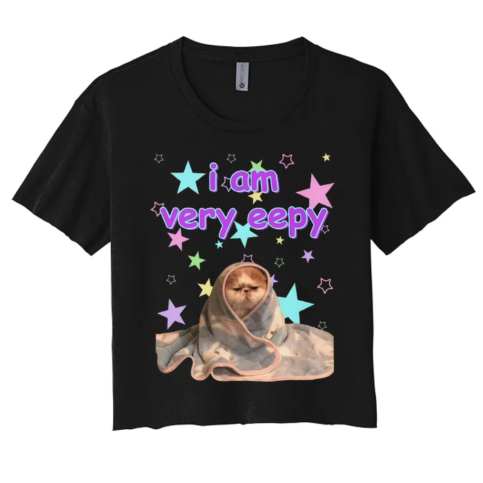 I Am Very Eepy Funny Cat Blanket Women's Crop Top Tee