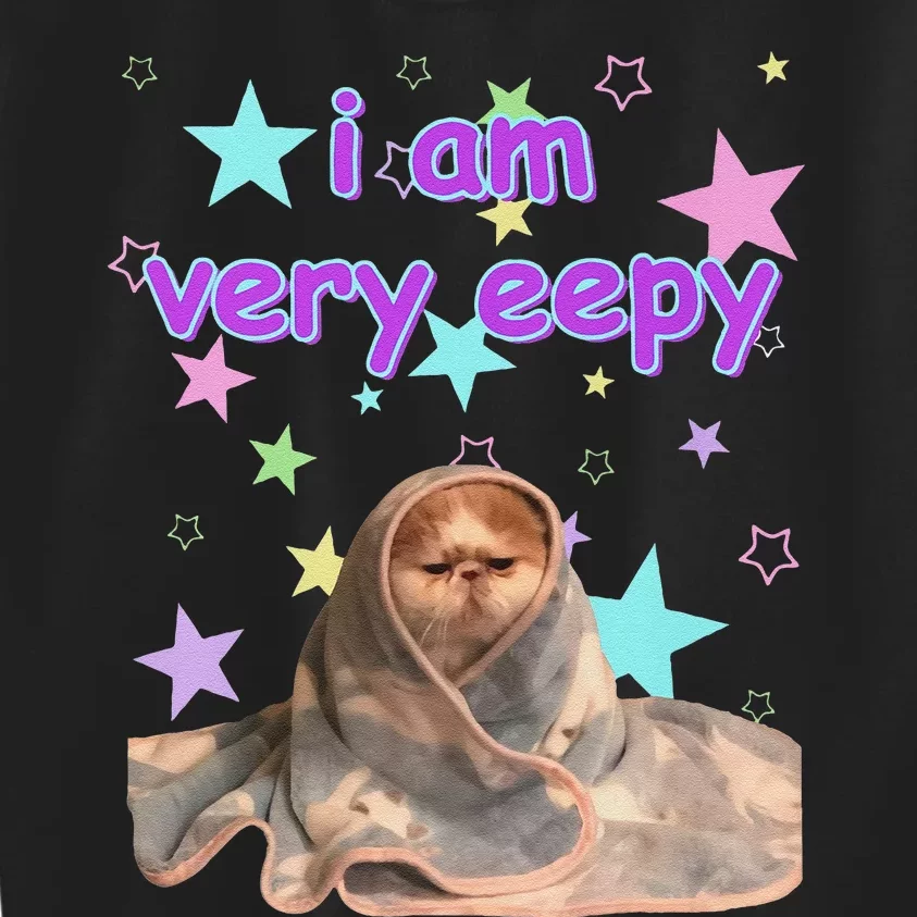 I Am Very Eepy Funny Cat Blanket Kids Sweatshirt