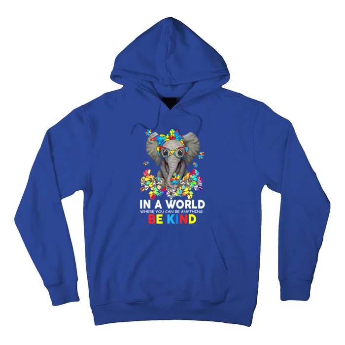 In A World Be Kind Cute Elephant Autism Mom Cool Gift Tall Hoodie