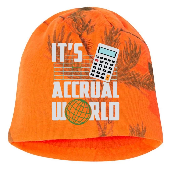 Its Accrual World Funny Accounting Accountant CPA Kati - Camo Knit Beanie