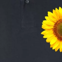 In A World Full Of Grandmas Be Gaga Sunflower Softstyle Adult Sport Polo