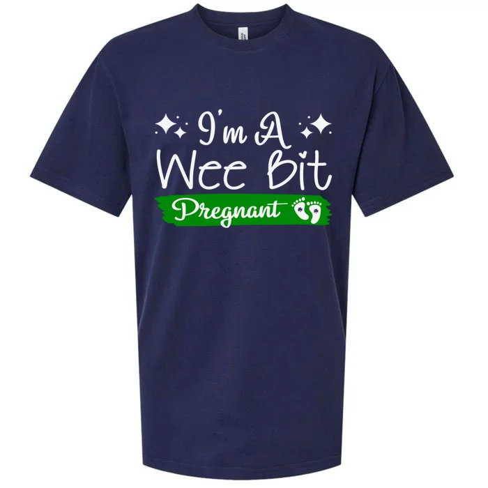 I'm A Wee Bit Pregnant Irish St Patricks Pregnancy New Mom Gift Sueded Cloud Jersey T-Shirt