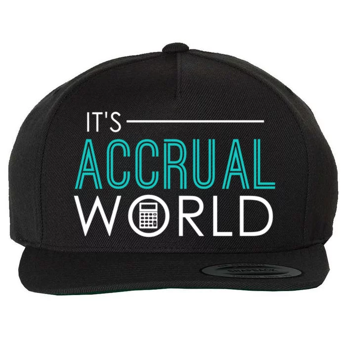 It's Accrual World Funny Accounting And Accountant Cpa Gift Wool Snapback Cap