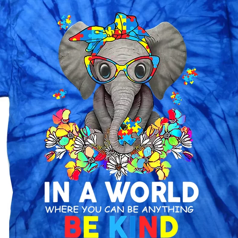 In A World Be Kind Cute Elephant Autism Mom Gift Tie-Dye T-Shirt