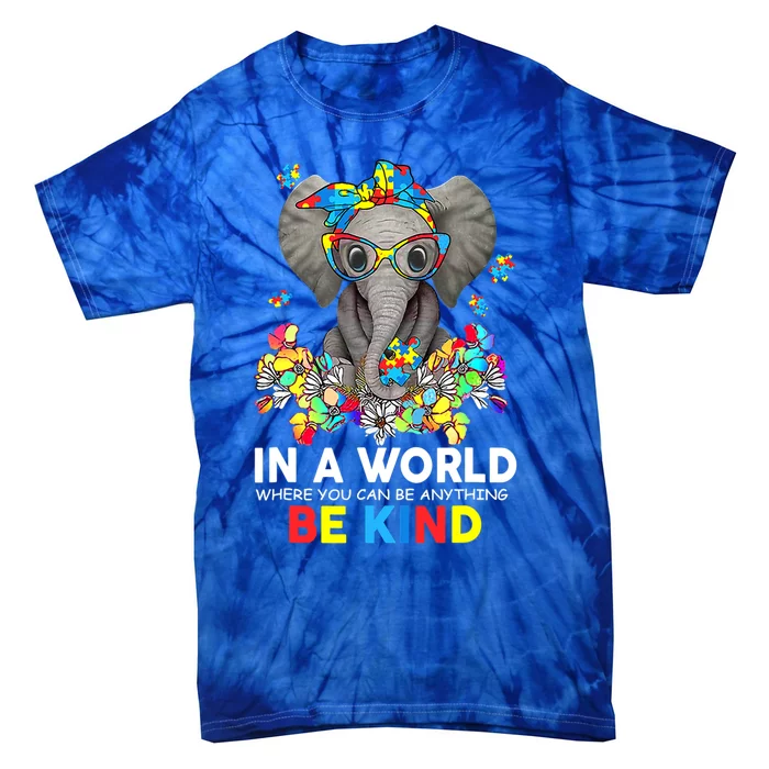 In A World Be Kind Cute Elephant Autism Mom Gift Tie-Dye T-Shirt