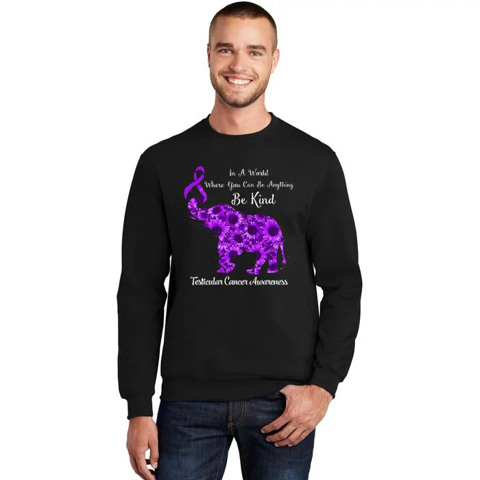 In A World Where Can Be Anything Be Kind Testicular Cancer Tall Sweatshirt