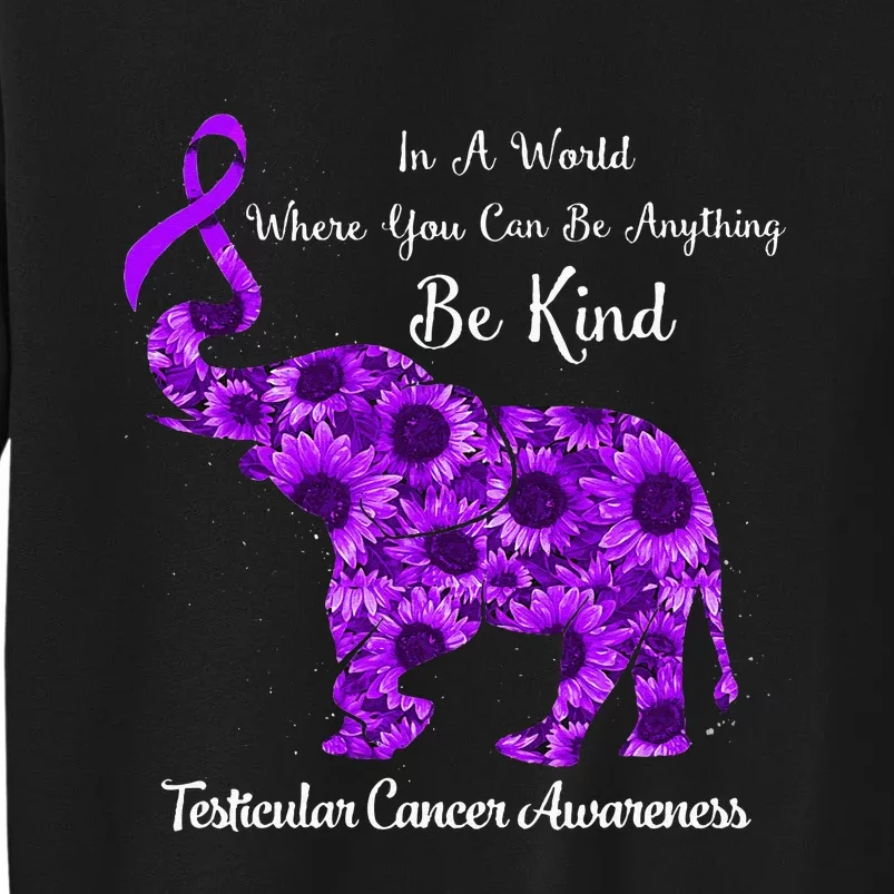 In A World Where Can Be Anything Be Kind Testicular Cancer Tall Sweatshirt