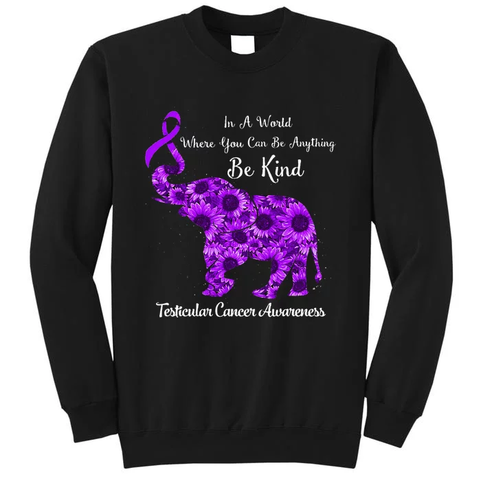 In A World Where Can Be Anything Be Kind Testicular Cancer Tall Sweatshirt