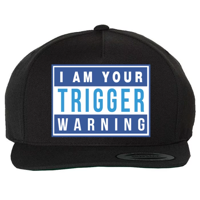 I Am Your Trigger Warning Funny Triggered Snowflake Gift Wool Snapback Cap