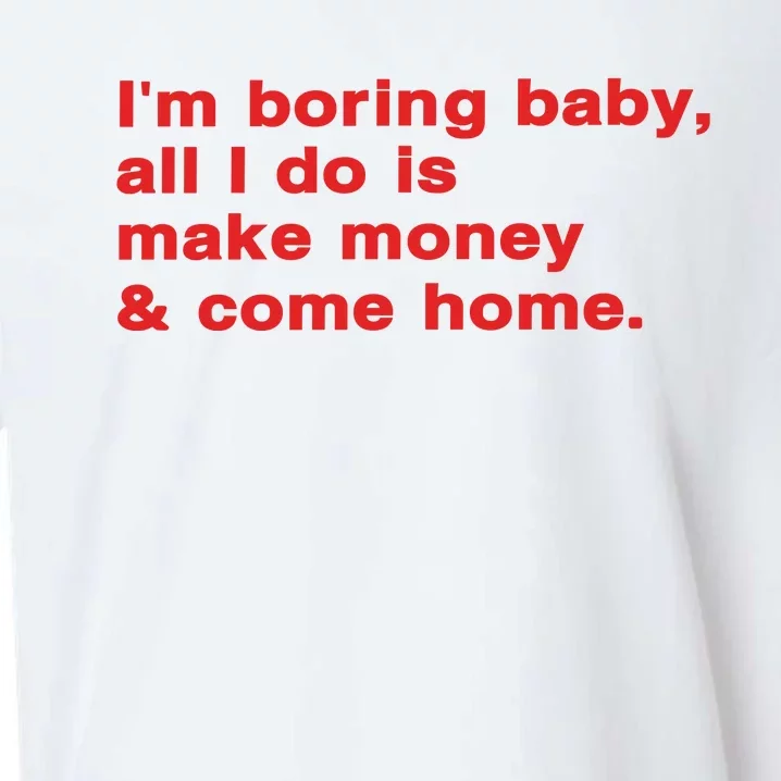 Im Boring Baby All I Do Is Make Money & Come Home Sueded Cloud Jersey T-Shirt