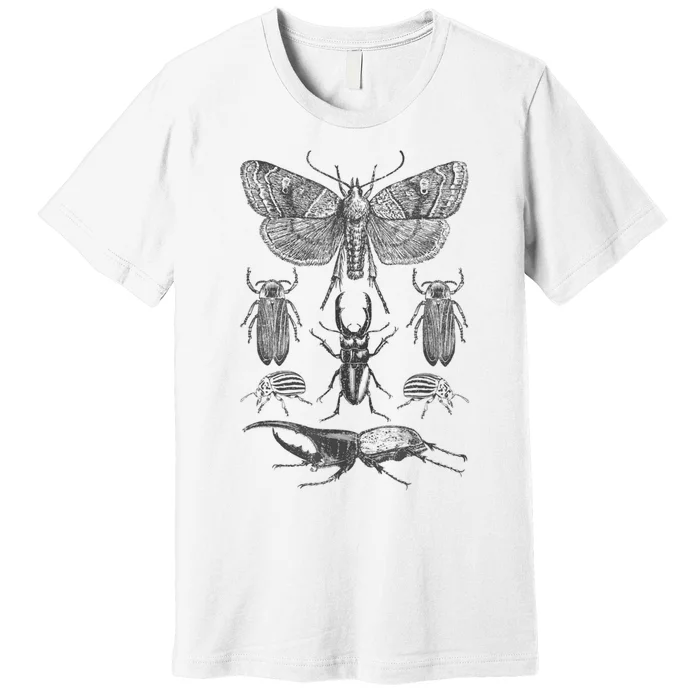 Insect Bug Collection Moth Stag Beetle Cicada Premium T-Shirt