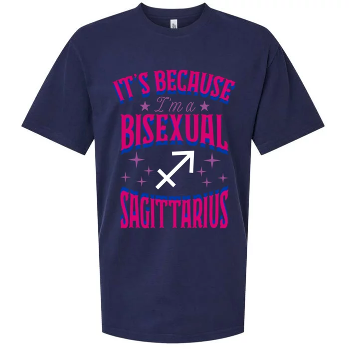 Its Because Im A Bisexual Sagittarius Zodiac Horoscope Gift Sueded Cloud Jersey T-Shirt