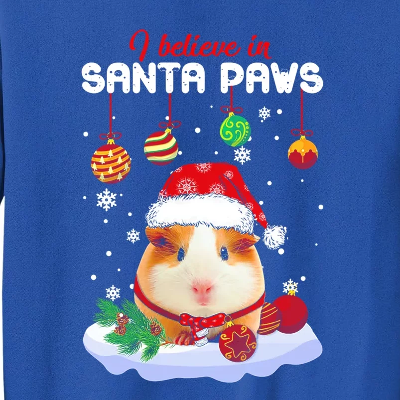 I Believe In Santa Paws Guinea Pig Xmas Gift Tall Sweatshirt