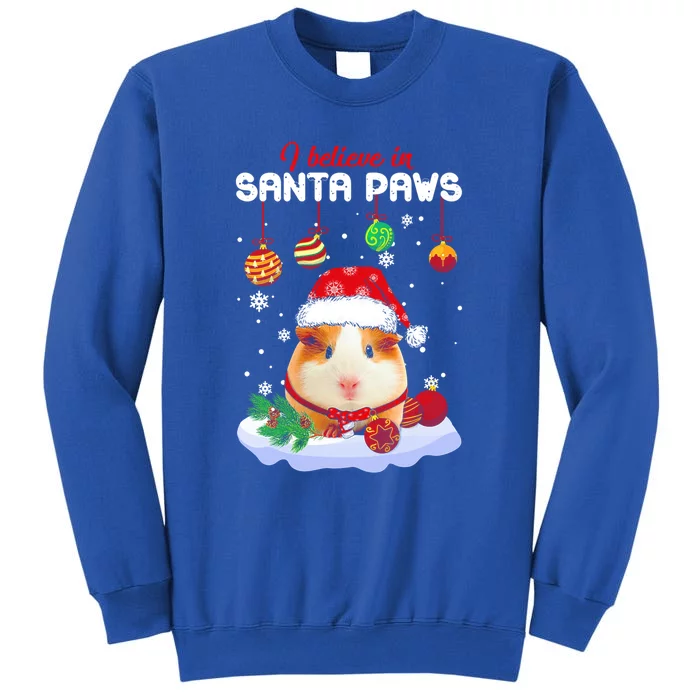 I Believe In Santa Paws Guinea Pig Xmas Gift Tall Sweatshirt