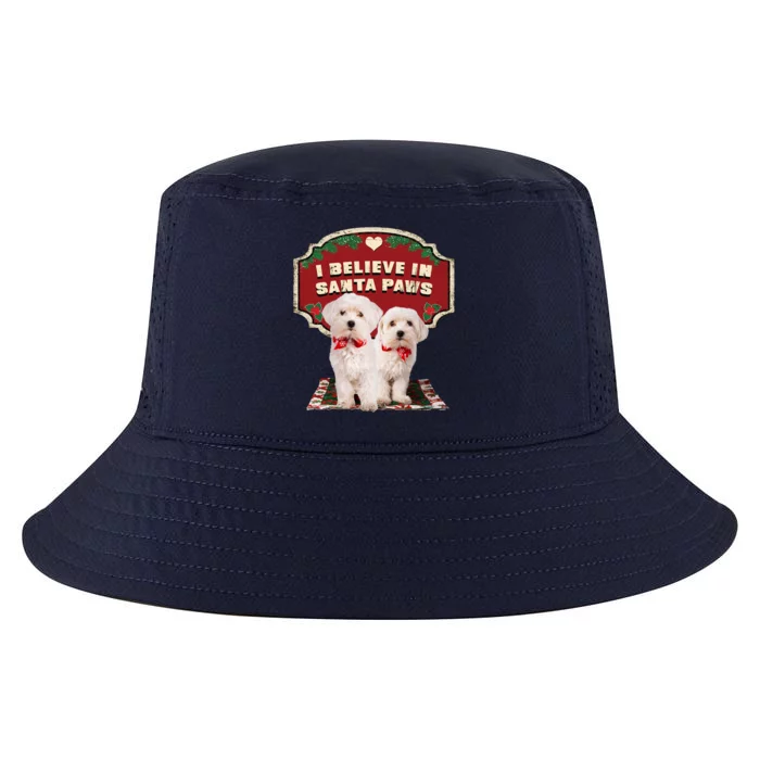 I Believe In Santa Paws Cute Christmas Dog Lover Cool Comfort Performance Bucket Hat