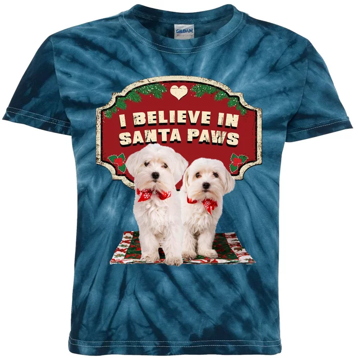 I Believe In Santa Paws Cute Christmas Dog Lover Kids Tie-Dye T-Shirt