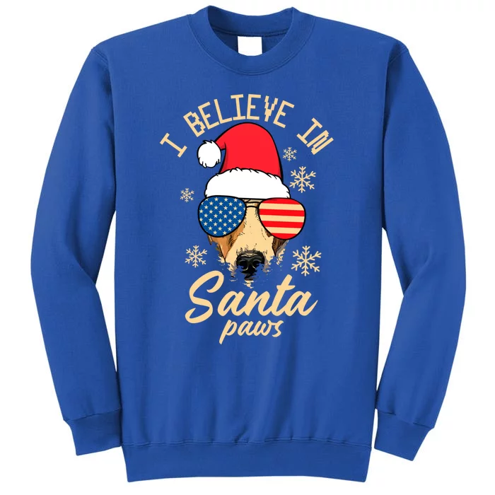 I Believe In Santa Paws Funny Christmas Santa Paws Funny Gift Tall Sweatshirt