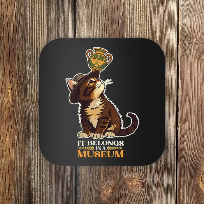 It Belongs In A Museum Archeology Archeologist Cat Kitty Coaster