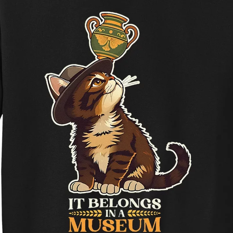 It Belongs In A Museum Archeology Archeologist Cat Kitty Tall Sweatshirt