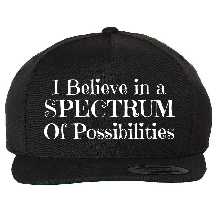 I Believe In A Spectrum Of Possibilities Autism Awareness Wool Snapback Cap