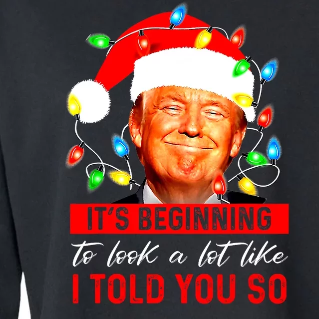 ItS Beginning To Look A Lot Like I Told You So Trump Xmas Cropped Pullover Crew