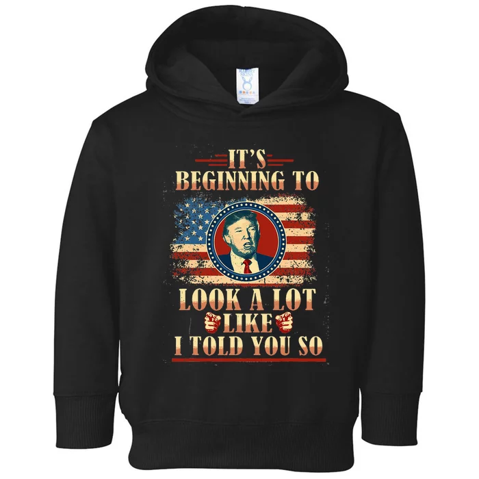 It's Beginning To Look A Lot Like I Told You So Told You Toddler Hoodie