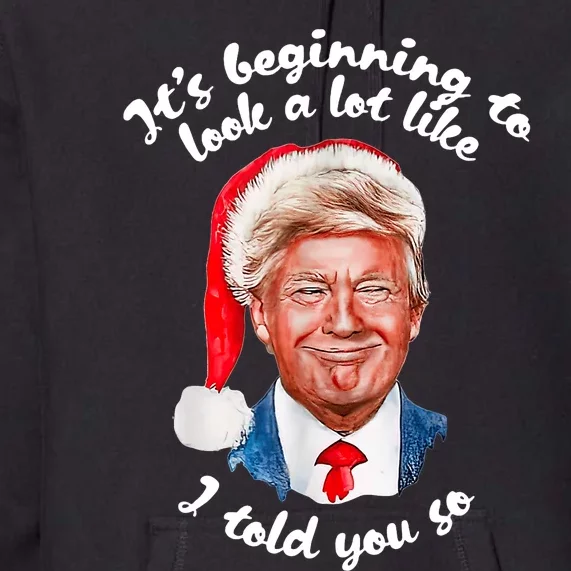 ItS Beginning To Look A Lot Like I Told You So Funny Trump Premium Hoodie