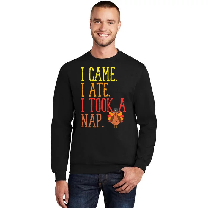 I Came Ate Took Nap Funny Turkey Day Thanksgiving Food Gift Sweatshirt