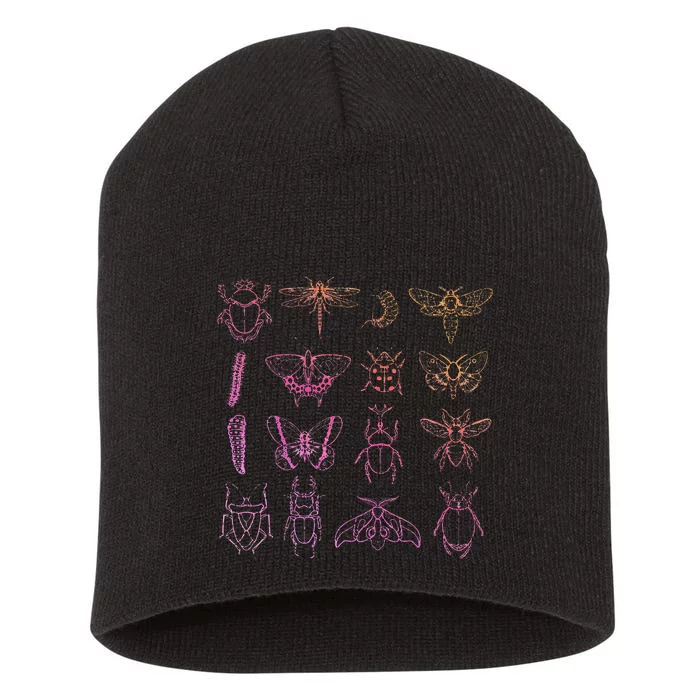 Insect Collector Bugs Entomology Bugs Beetle Biology Bug Short Acrylic Beanie