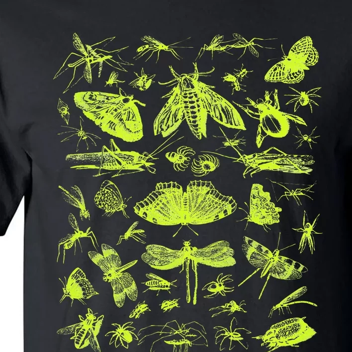 Insect Collection Bugs Entomologists Tall T-Shirt