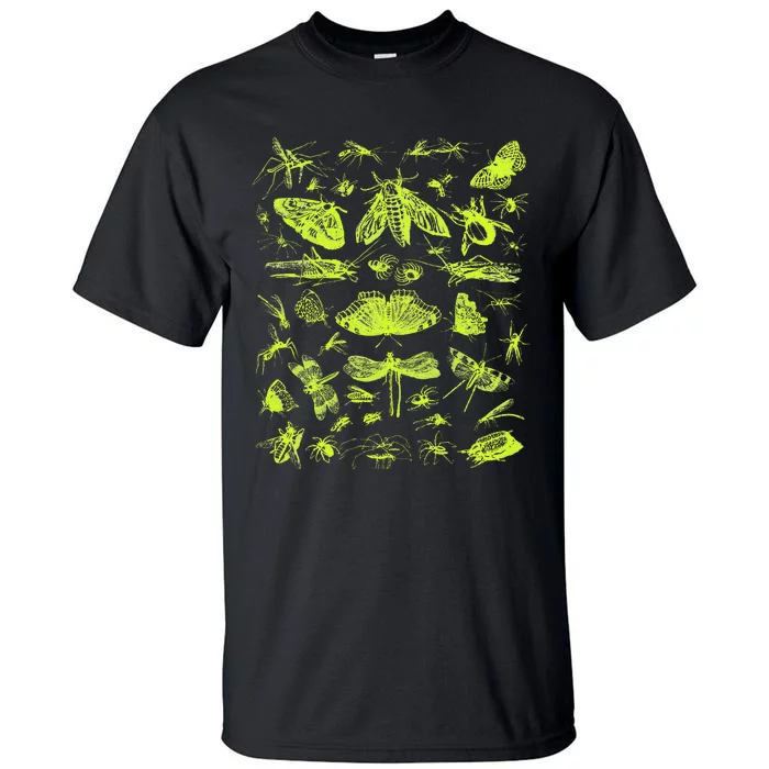 Insect Collection Bugs Entomologists Tall T-Shirt